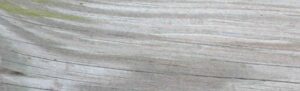 the gammon background header